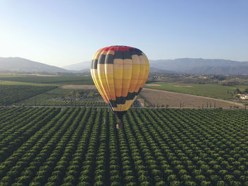Hot air balloon in field against clear sky