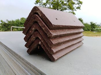 Close-up of fresh table against sky