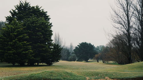 Scenic view of grassy field against sky