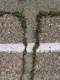 Full frame shot of wet ground