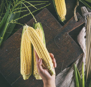 Midsection of woman holding corn