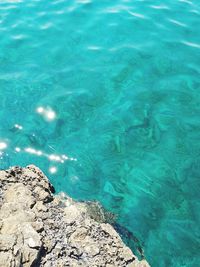 High angle view of rocks by swimming pool