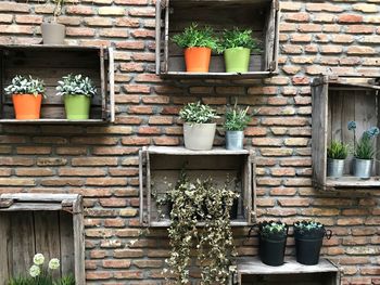 Potted plants against brick wall