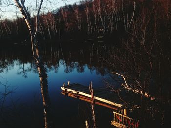 Reflection of trees in water at night