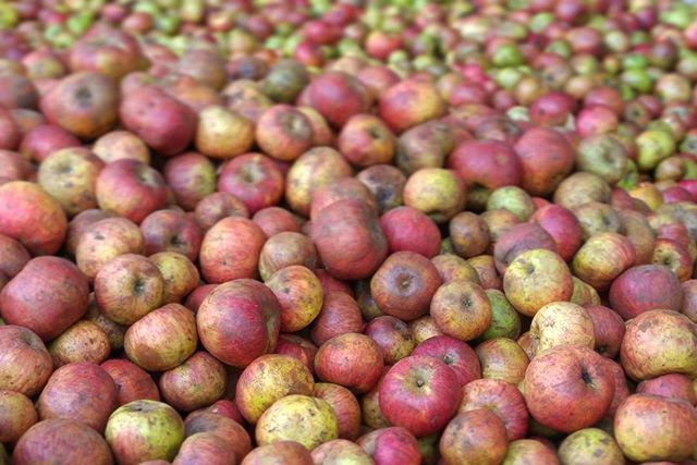 food and drink, fruit, food, healthy eating, freshness, full frame, abundance, backgrounds, large group of objects, red, for sale, market, market stall, retail, close-up, ripe, no people, organic, still life, outdoors