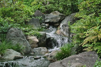 Stream flowing through rocks in forest