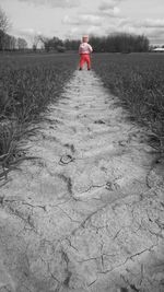 Road in field