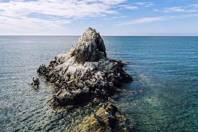 Driftwood on rock by sea against sky