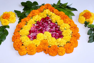 High angle view of yellow flowering plant