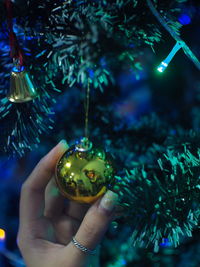 Cropped hand holding christmas tree