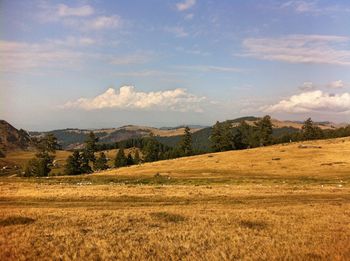 Scenic view of landscape against sky