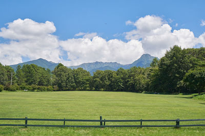 Scenic view of field against sky