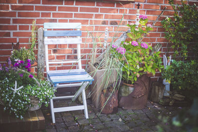Potted plants in yard