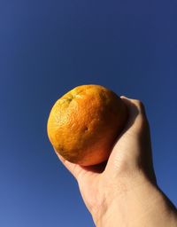 Close-up of hand holding apple against blue sky