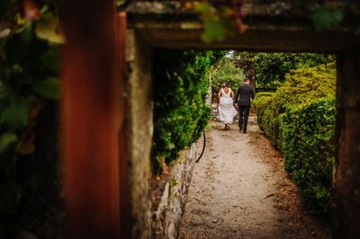 Rear view of wedding couple walking on footpath in park