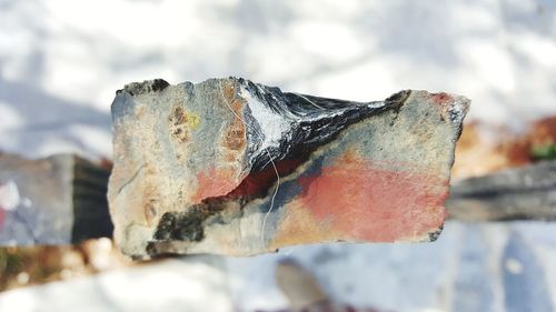 Close-up of snow on rock