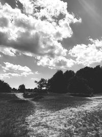 Scenic view of field against sky