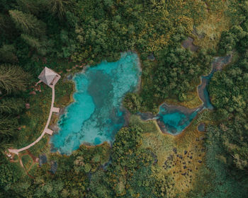 High angle view of sea and trees