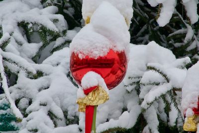 Close-up of snow covered field during winter