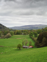 Scenic view of landscape against sky