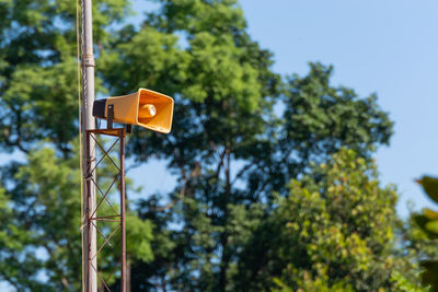 Low angle view of yellow sign against trees