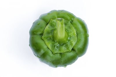 Close-up of green pepper against white background