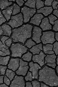 Full frame shot of tiled floor