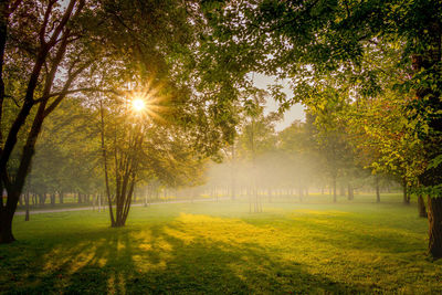 Scenic view of field