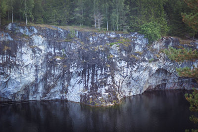 Scenic view of lake in forest
