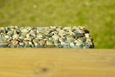 Close-up of stones on rock