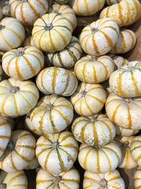 Full frame shot of pumpkins