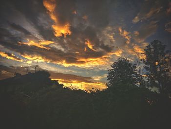 Low angle view of silhouette trees against sky at sunset