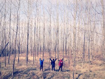 Bare trees in park