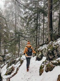 Rear view of young woman hiking in forest. winter, snow, trail, path, bakcpack.