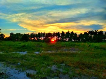 Scenic view of field against sky during sunset