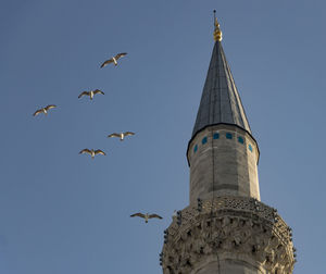Low angle view of birds flying against clear sky