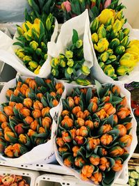 High angle view of tulips in market stall
