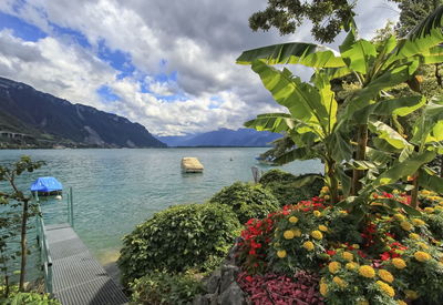 Geneva lake at montreux, switzerland 