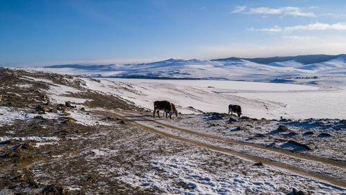 Scenic view of snow covered mountains against sky