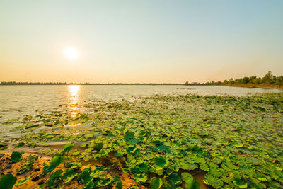 Scenic view of lake against sky during sunset