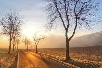 Road by bare trees against sky during sunset