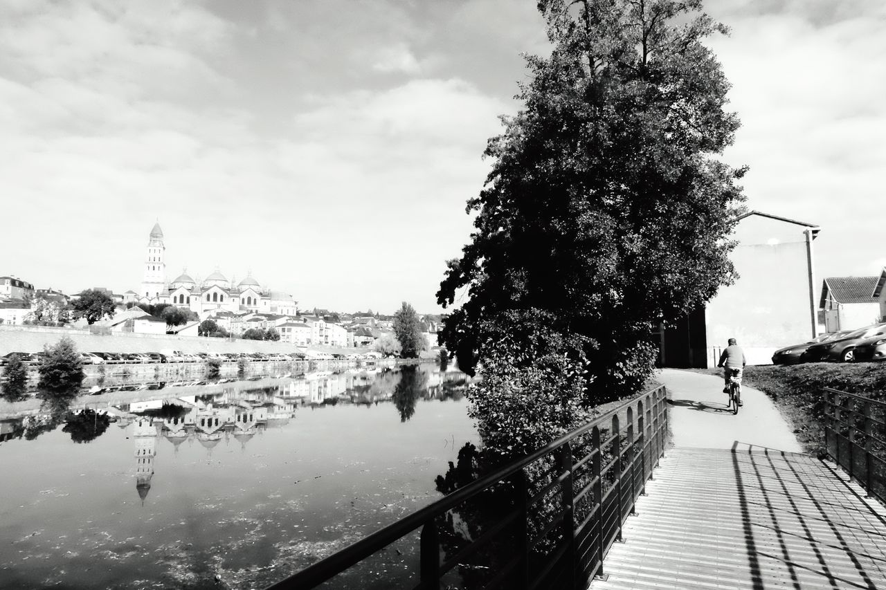 VIEW OF CALM LAKE ALONG TREES