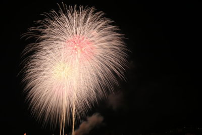 Low angle view of firework display at night