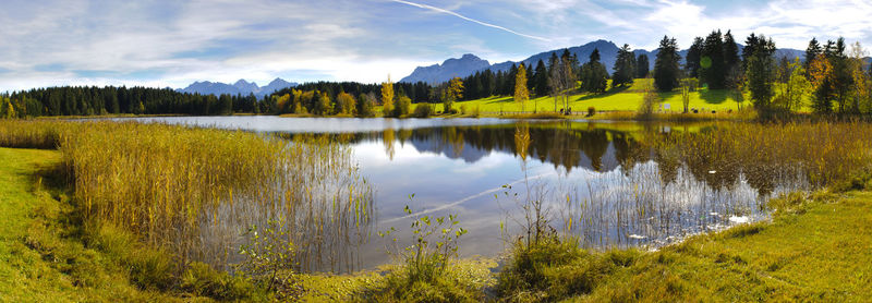 Scenic view of lake by trees against sky