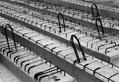 High angle view of lizard