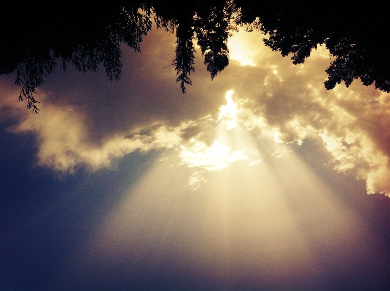 sun, sunbeam, sky, tree, silhouette, sunset, sunlight, cloud - sky, tranquility, beauty in nature, lens flare, low angle view, tranquil scene, scenics, nature, back lit, cloudy, idyllic, cloud, growth