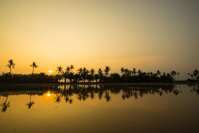 Reflection of trees in calm lake at sunset