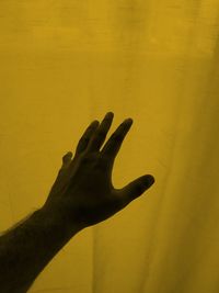 Close-up of person hand against yellow wall