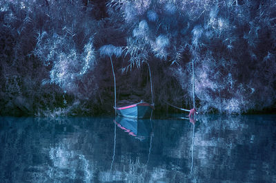 Scenic view of lake in forest