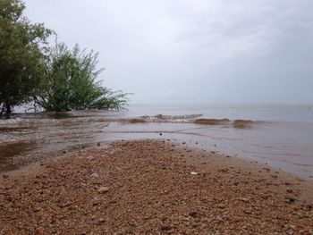 Scenic view of beach against sky